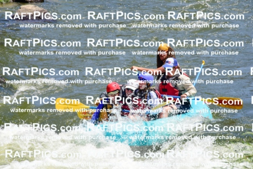 001992_July-11_Los-Rios_RAFT-Pics_Racecourse-AM_SW_Brodie__LES8555