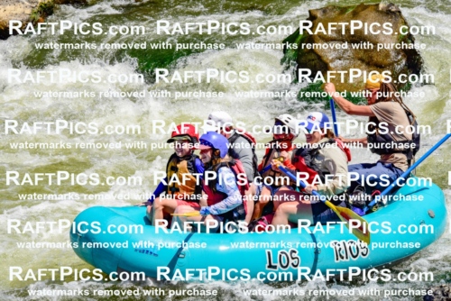 002009_July-11_Los-Rios_RAFT-Pics_Racecourse-AM_SW_Brodie__LES8572