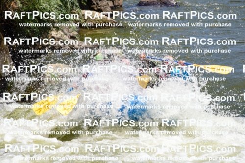 002014_July-11_Los-Rios_RAFT-Pics_Racecourse-AM_SW_John__LES8520