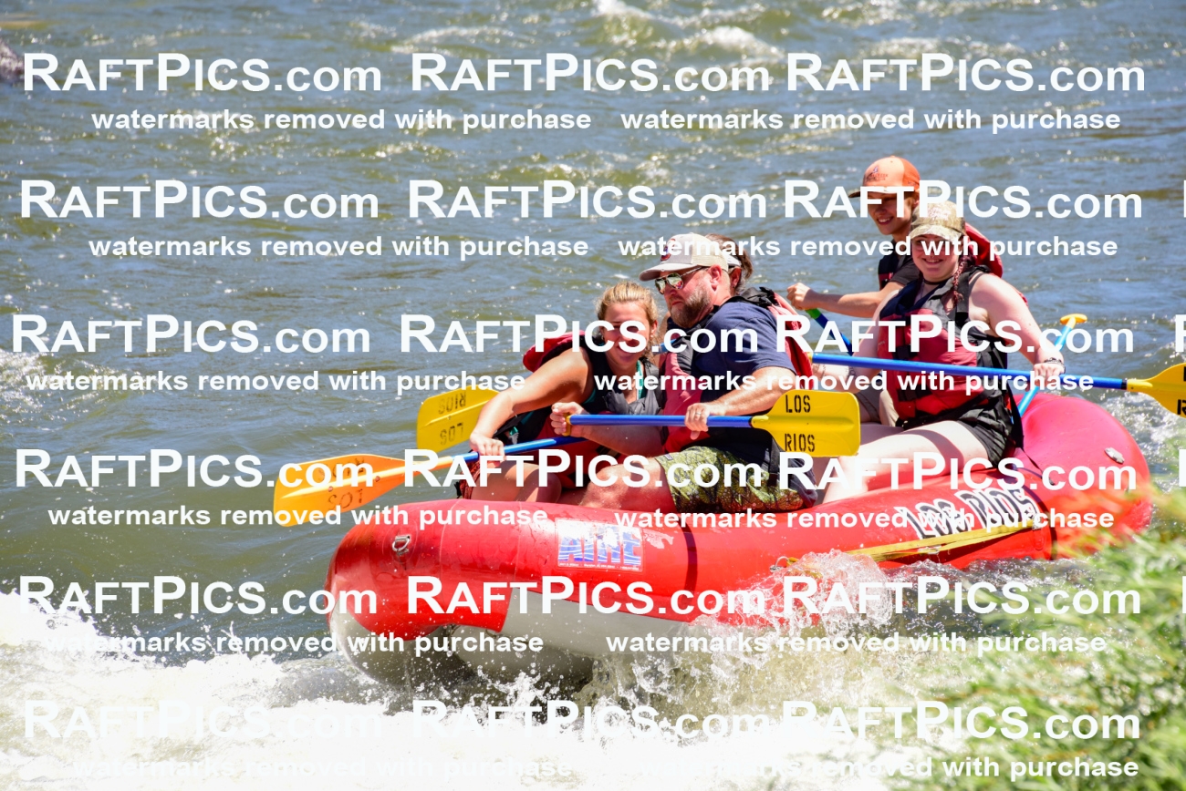 002032_July-11_Los-Rios_RAFT-Pics_Racecourse-AM_SW_Sara__LES8577