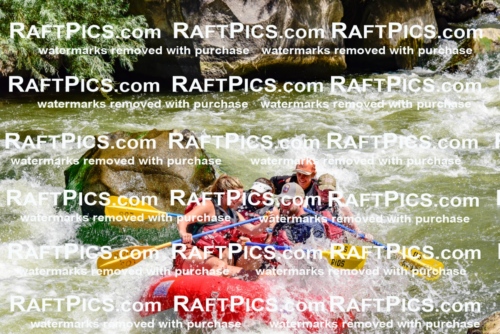 002045_July-11_Los-Rios_RAFT-Pics_Racecourse-AM_SW_Sara__LES8590