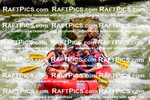 002049_July-11_Los-Rios_RAFT-Pics_Racecourse-AM_SW_Sara__LES8594