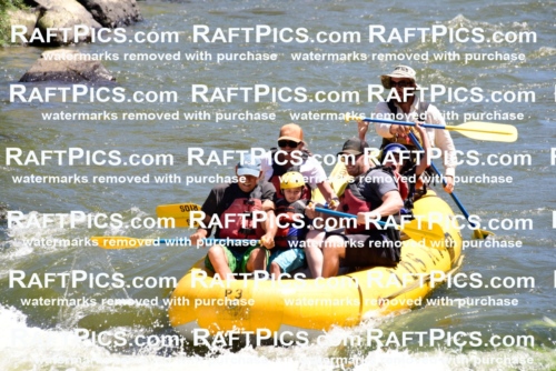 002052_July-11_Los-Rios_RAFT-Pics_Racecourse-AM_SW_Wade__LES8535