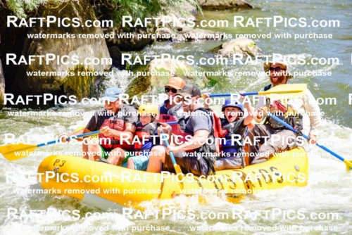 002058_July-11_Los-Rios_RAFT-Pics_Racecourse-AM_SW_Wade__LES8541