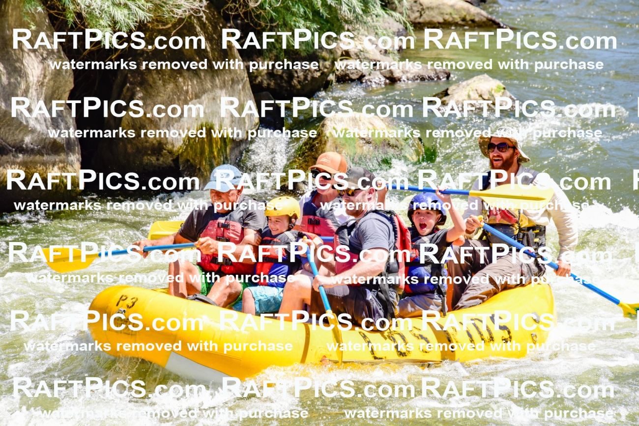 002059_July-11_Los-Rios_RAFT-Pics_Racecourse-AM_SW_Wade__LES8542