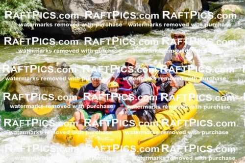 002062_July-11_Los-Rios_RAFT-Pics_Racecourse-AM_SW_Wade__LES8545