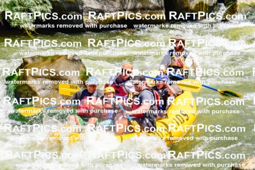 002063_July-11_Los-Rios_RAFT-Pics_Racecourse-AM_SW_Wade__LES8546