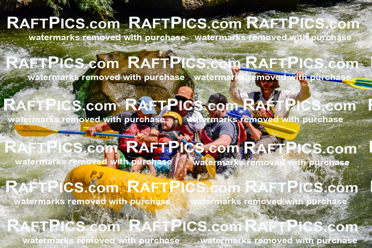 002065_July-11_Los-Rios_RAFT-Pics_Racecourse-AM_SW_Wade__LES8548