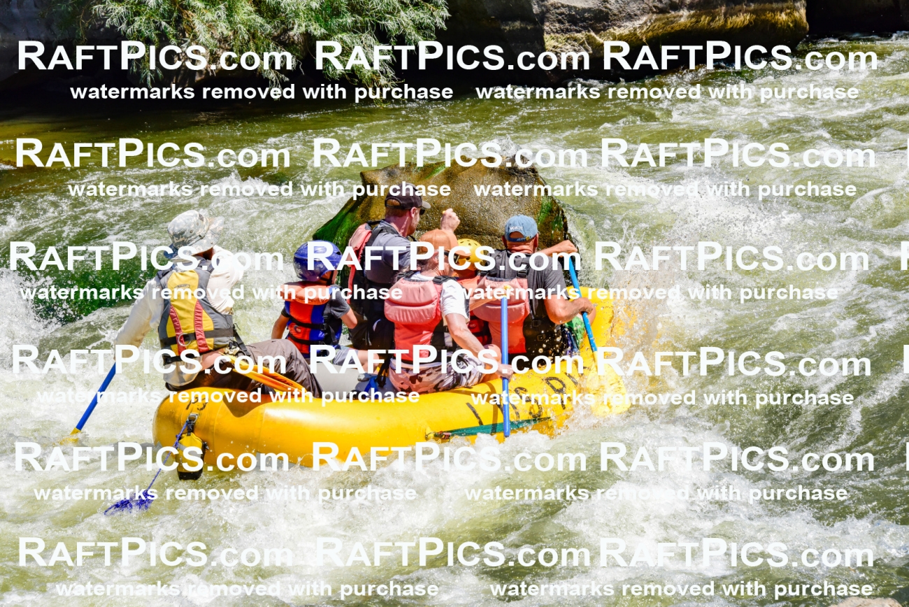 002070_July-11_Los-Rios_RAFT-Pics_Racecourse-AM_SW_Wade__LES8618