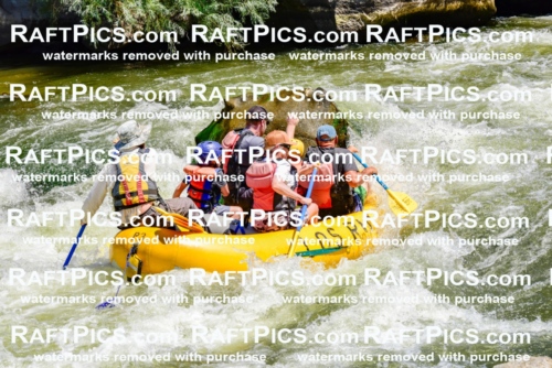 002071_July-11_Los-Rios_RAFT-Pics_Racecourse-AM_SW_Wade__LES8619