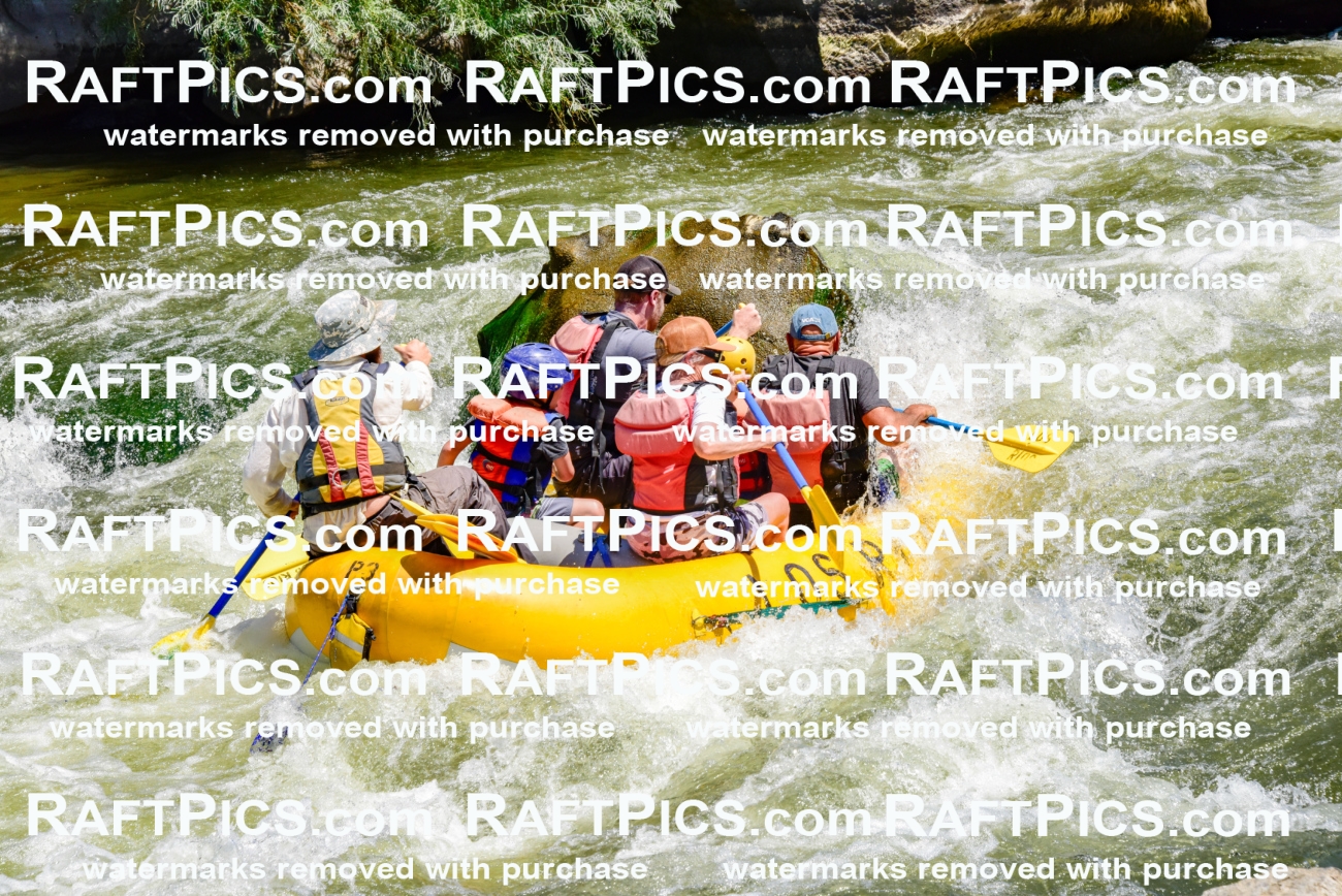 002072_July-11_Los-Rios_RAFT-Pics_Racecourse-AM_SW_Wade__LES8620