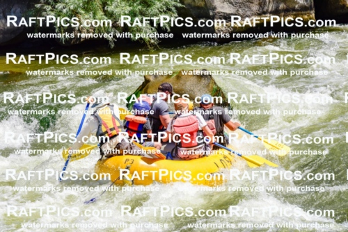 002073_July-11_Los-Rios_RAFT-Pics_Racecourse-AM_SW_Wade__LES8621