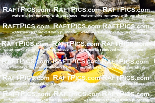 002074_July-11_Los-Rios_RAFT-Pics_Racecourse-AM_SW_Wade__LES8622