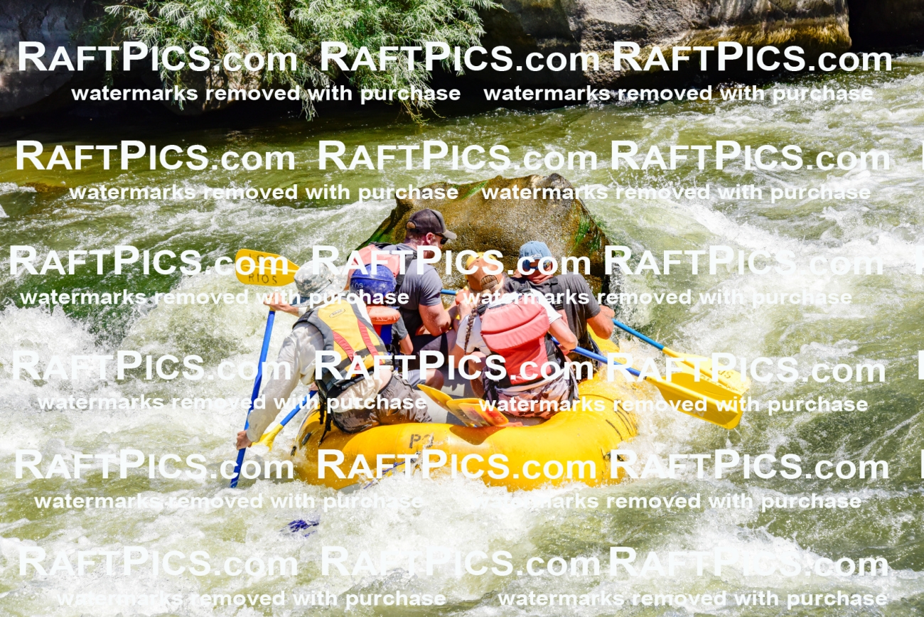 002075_July-11_Los-Rios_RAFT-Pics_Racecourse-AM_SW_Wade__LES8623