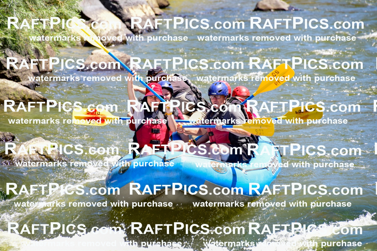 002080_July-11_Los-Rios_RAFT-Pics_Racecourse-AM_SW_Zack__LES8498