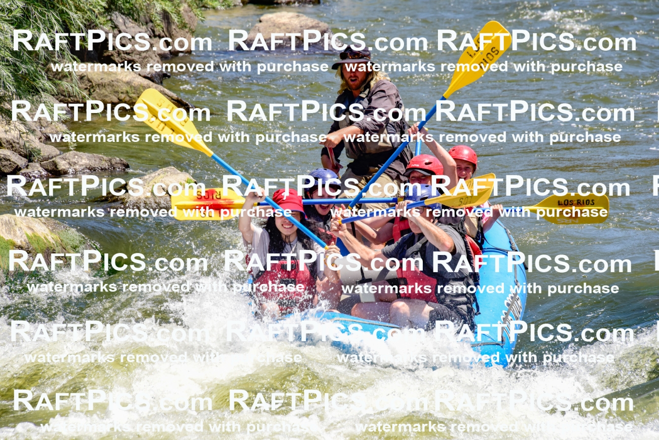 002082_July-11_Los-Rios_RAFT-Pics_Racecourse-AM_SW_Zack__LES8500