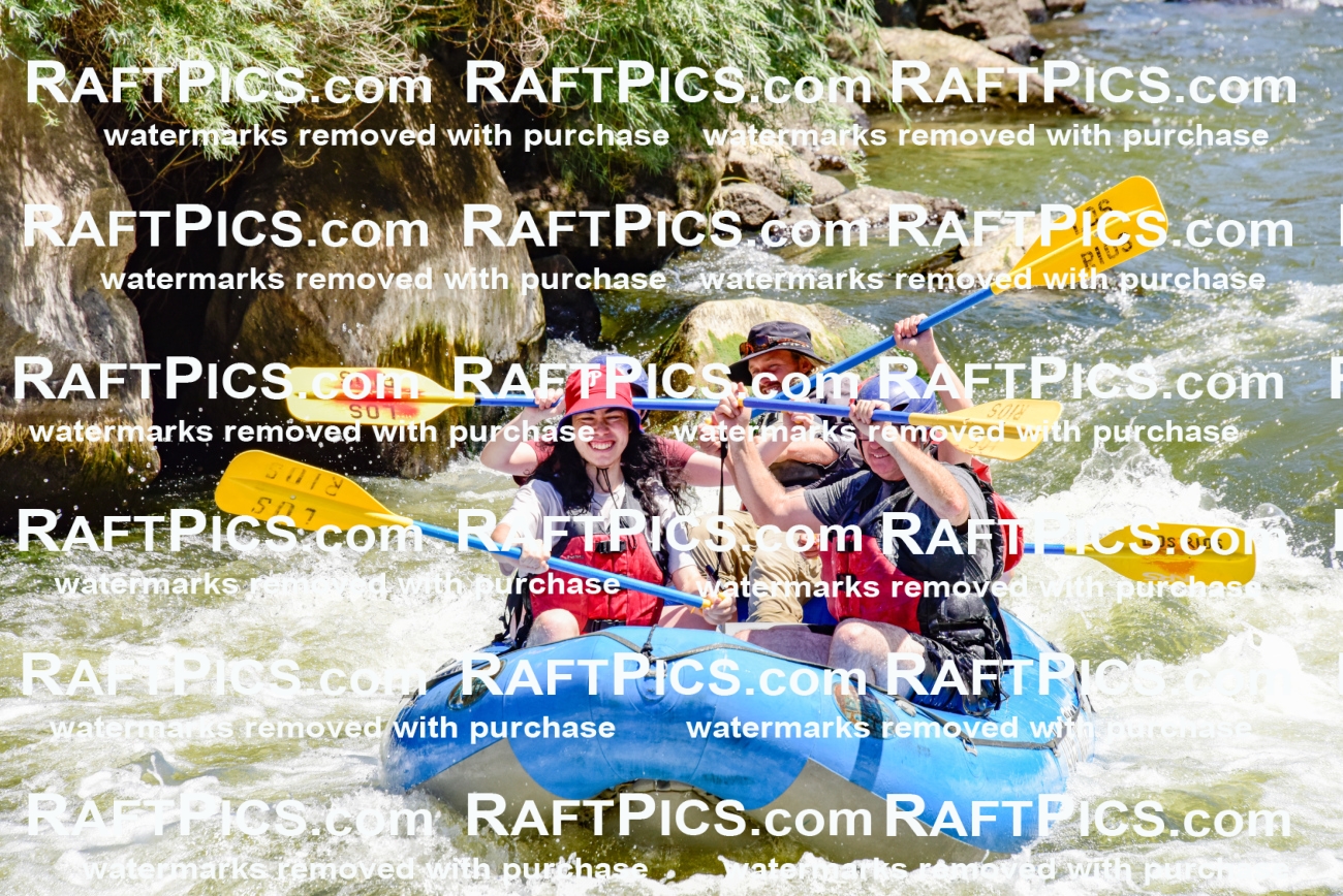 002087_July-11_Los-Rios_RAFT-Pics_Racecourse-AM_SW_Zack__LES8505