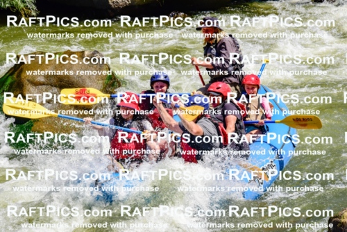 002092_July-11_Los-Rios_RAFT-Pics_Racecourse-AM_SW_Zack__LES8510