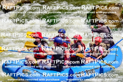 002098_July-11_Los-Rios_RAFT-Pics_Racecourse-AM_SW_Zack__LES8516