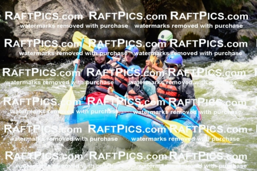 002146_July-11_NEW-WAVE_RAFT-PICS_Racecourse-PM_LA_Orlando__LES8762