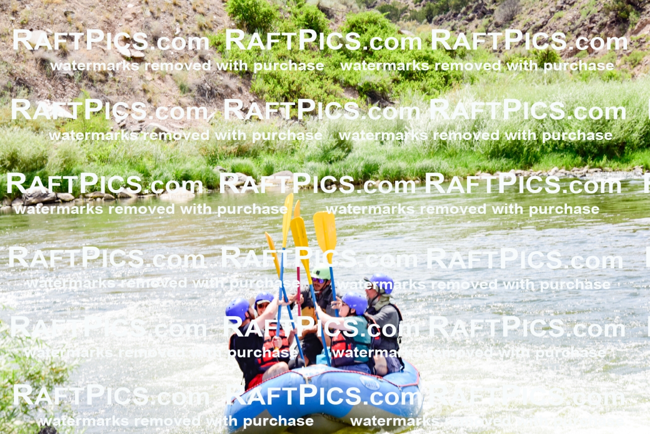 002173_July-11_NEW-WAVE_RAFT-PICS_Racecourse-PM_LA_Orlando__LES8794