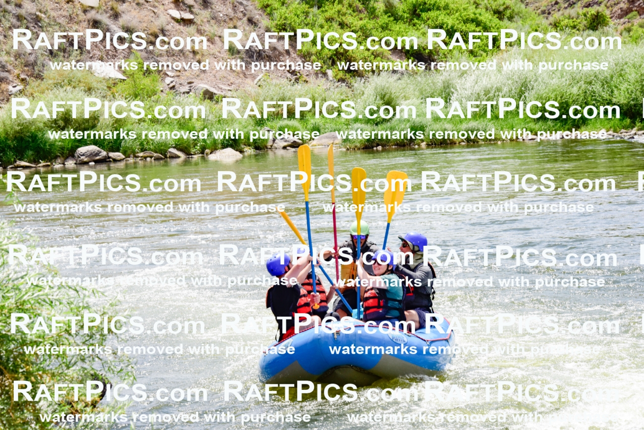 002174_July-11_NEW-WAVE_RAFT-PICS_Racecourse-PM_LA_Orlando__LES8795