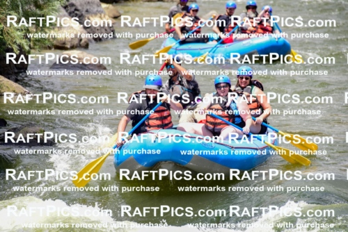 002176_July-11_NEW-WAVE_RAFT-PICS_Racecourse-PM_LA_Rui__LES8723