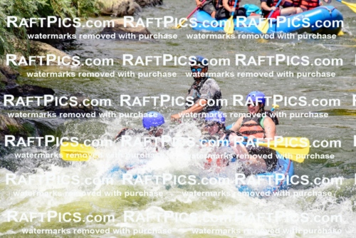 002179_July-11_NEW-WAVE_RAFT-PICS_Racecourse-PM_LA_Rui__LES8726