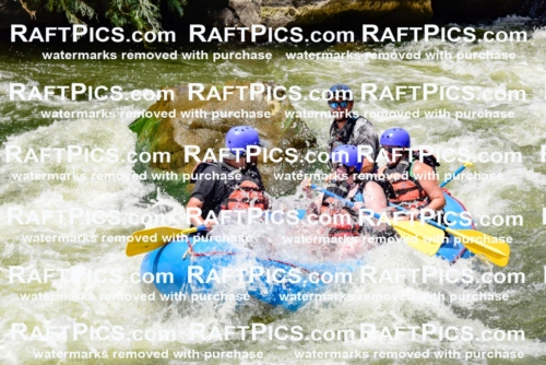 002195_July-11_NEW-WAVE_RAFT-PICS_Racecourse-PM_LA_Rui__LES8742