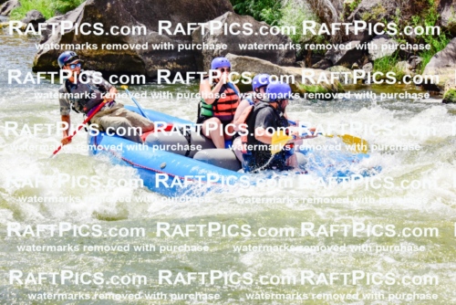 002215_July-11_NEW-WAVE_RAFT-PICS_Racecourse-PM_LA_Rui__LES8805