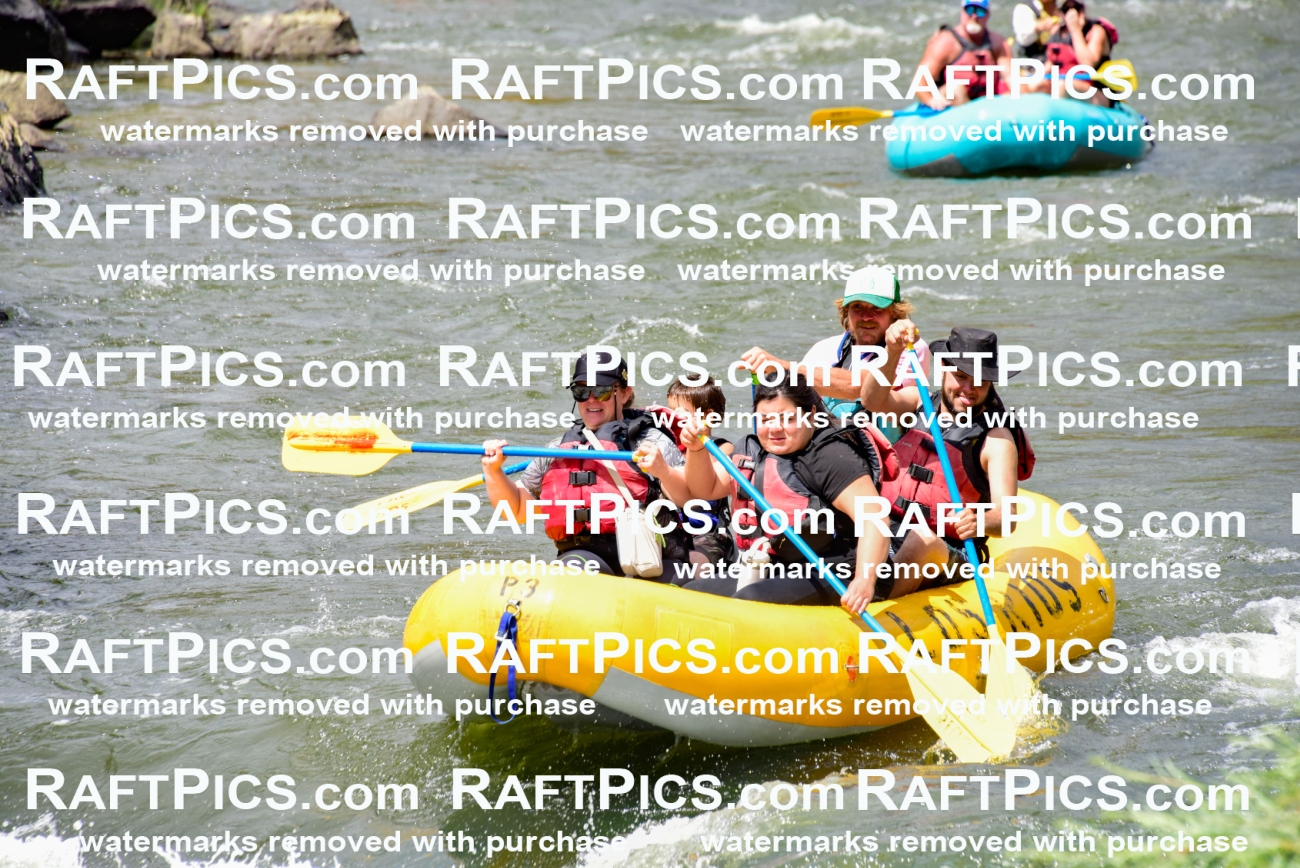 002227_July-11_Los-Rios_RAFT-PICS_Racecourse-PM_SW__Abe_LES8839