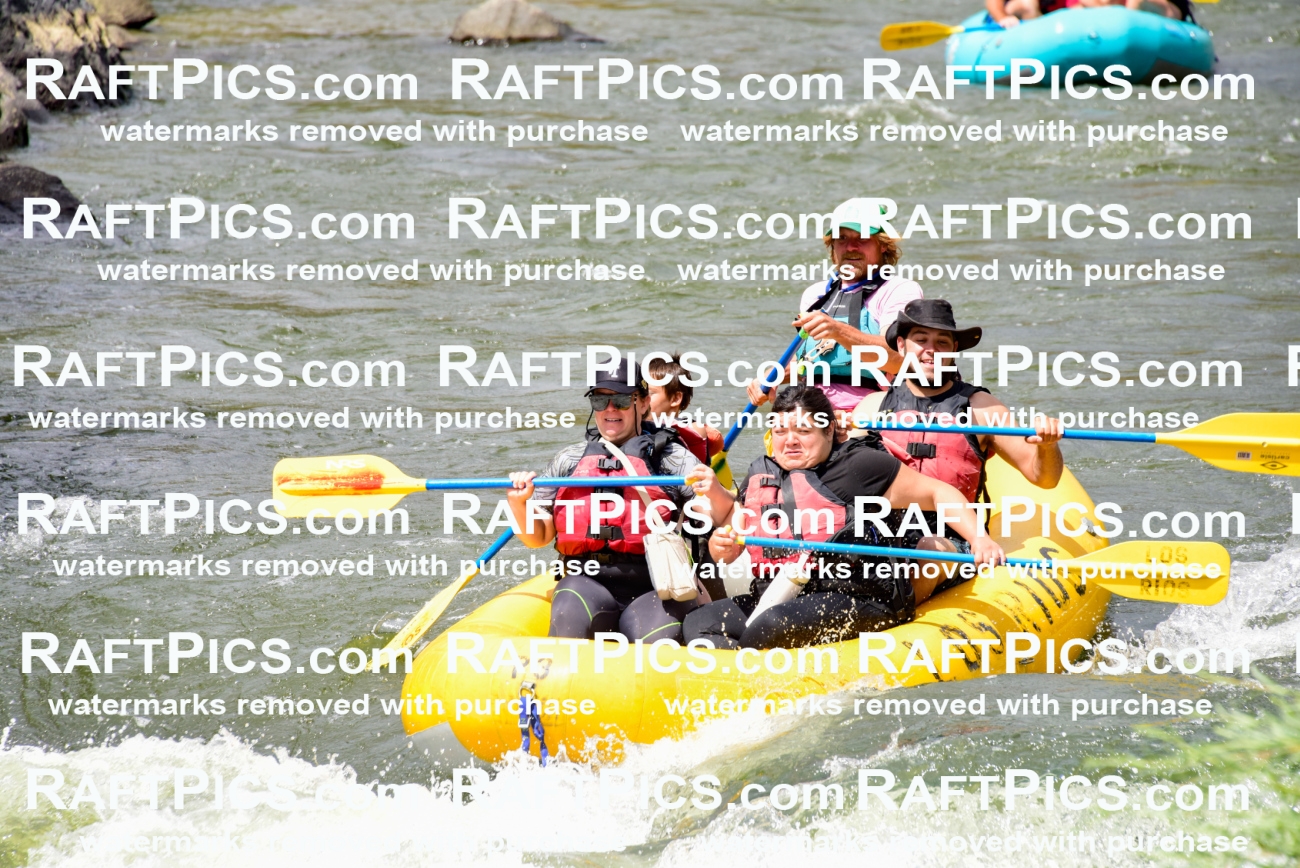 002228_July-11_Los-Rios_RAFT-PICS_Racecourse-PM_SW__Abe_LES8840