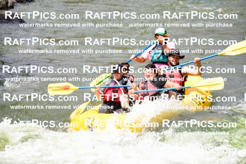 002229_July-11_Los-Rios_RAFT-PICS_Racecourse-PM_SW__Abe_LES8841