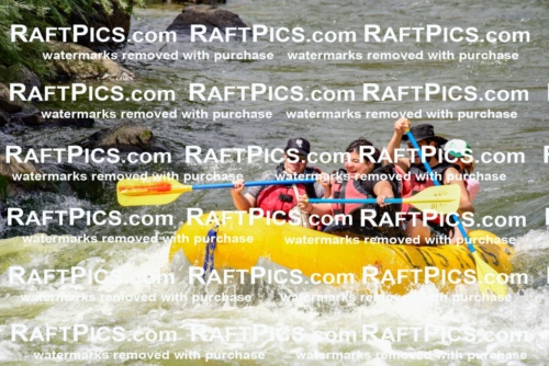 002232_July-11_Los-Rios_RAFT-PICS_Racecourse-PM_SW__Abe_LES8844