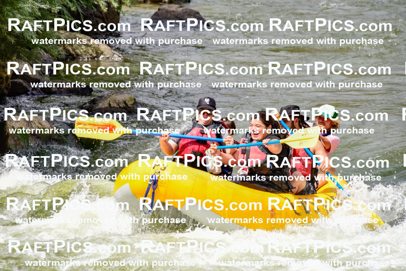 002233_July-11_Los-Rios_RAFT-PICS_Racecourse-PM_SW__Abe_LES8845