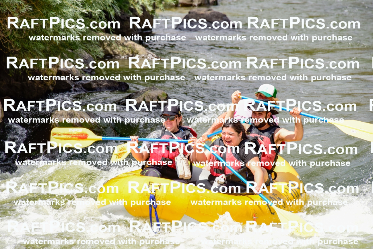 002234_July-11_Los-Rios_RAFT-PICS_Racecourse-PM_SW__Abe_LES8846