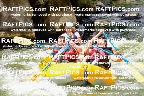 002235_July-11_Los-Rios_RAFT-PICS_Racecourse-PM_SW__Abe_LES8847