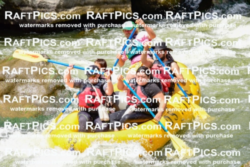 002238_July-11_Los-Rios_RAFT-PICS_Racecourse-PM_SW__Abe_LES8850