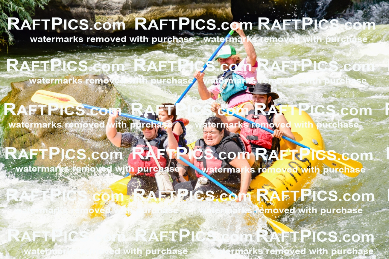 002239_July-11_Los-Rios_RAFT-PICS_Racecourse-PM_SW__Abe_LES8851