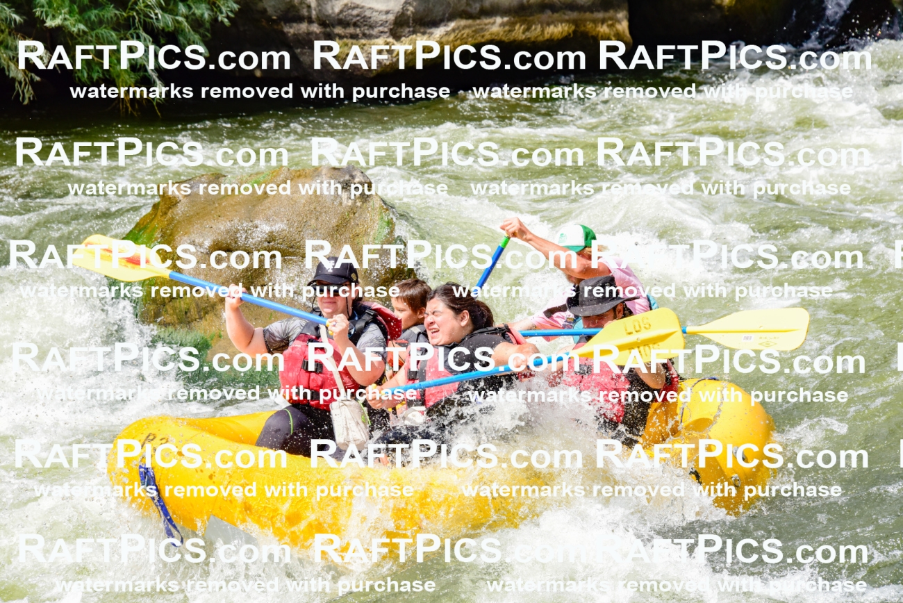 002241_July-11_Los-Rios_RAFT-PICS_Racecourse-PM_SW__Abe_LES8853