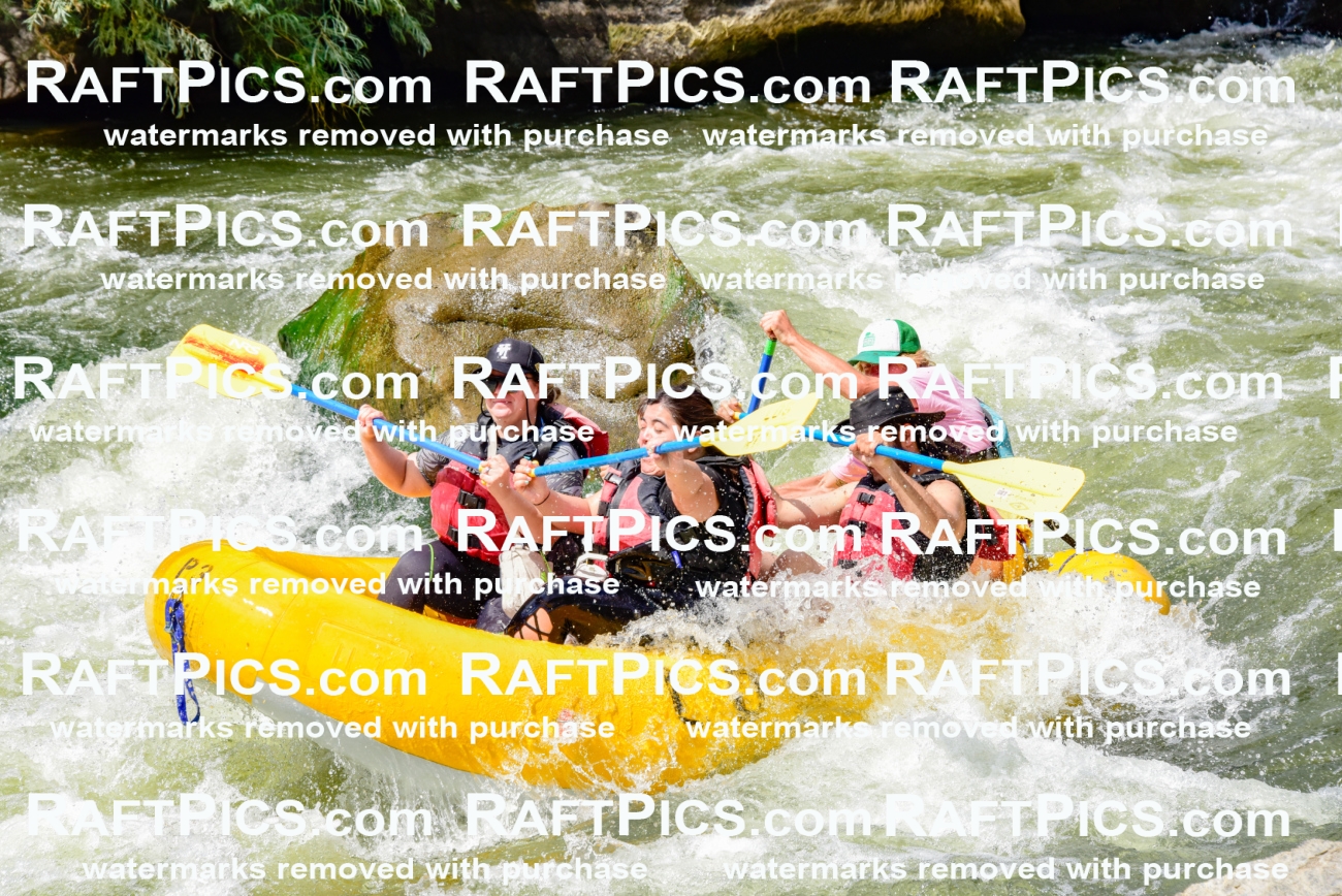 002242_July-11_Los-Rios_RAFT-PICS_Racecourse-PM_SW__Abe_LES8854