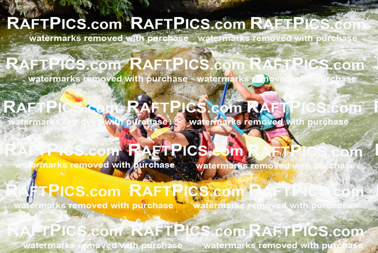 002243_July-11_Los-Rios_RAFT-PICS_Racecourse-PM_SW__Abe_LES8855