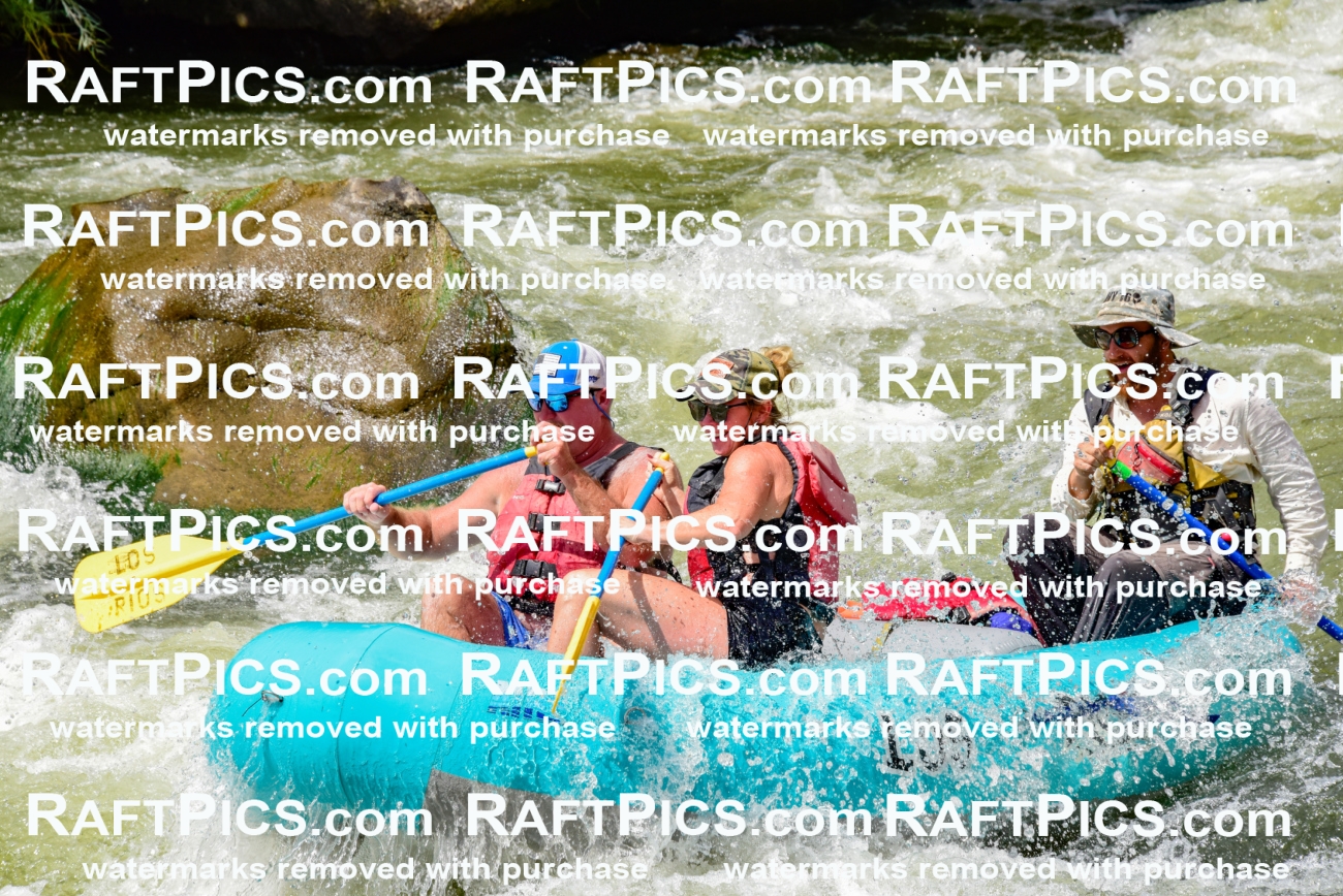 002258_July-11_Los-Rios_RAFT-PICS_Racecourse-PM_SW_Wade_LES8870