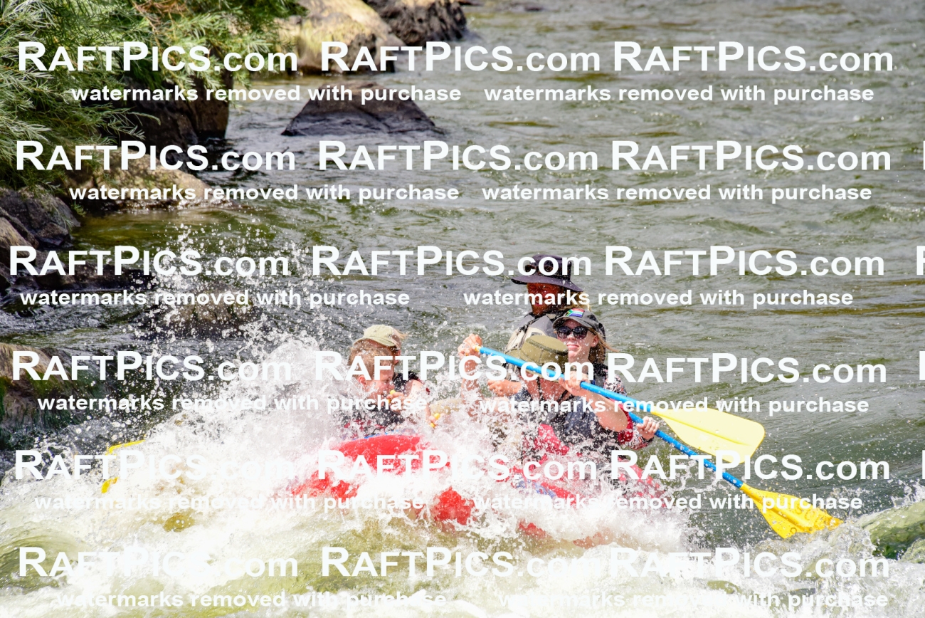 002266_July-11_Los-Rios_RAFT-PICS_Racecourse-PM_SW_Zack_LES8822