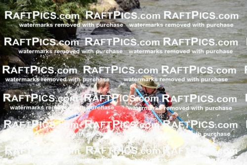 002267_July-11_Los-Rios_RAFT-PICS_Racecourse-PM_SW_Zack_LES8823