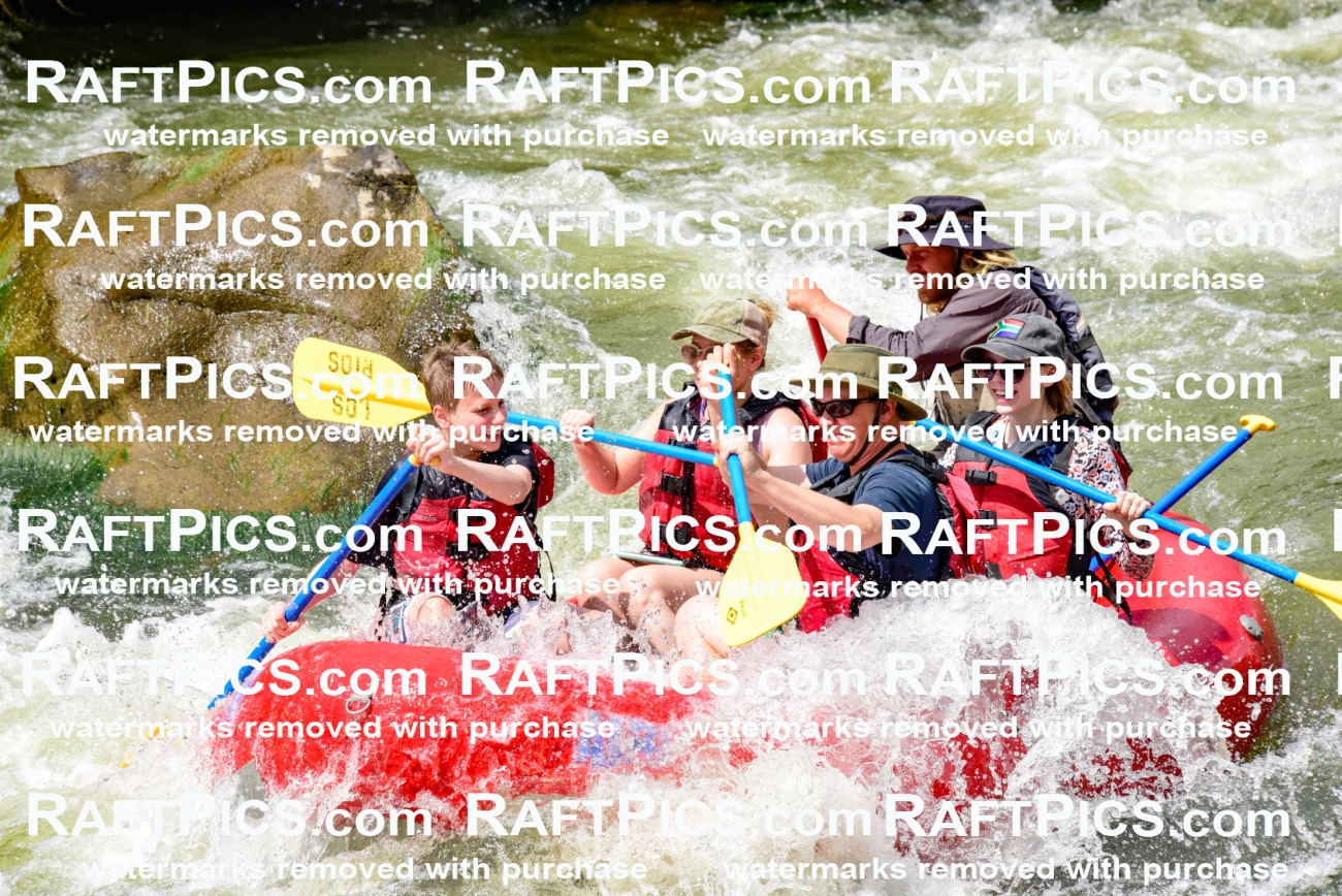 002273_July-11_Los-Rios_RAFT-PICS_Racecourse-PM_SW_Zack_LES8829