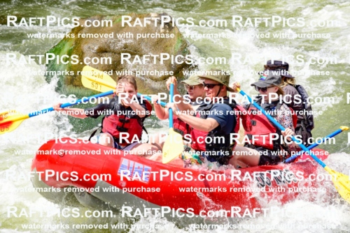 002274_July-11_Los-Rios_RAFT-PICS_Racecourse-PM_SW_Zack_LES8830