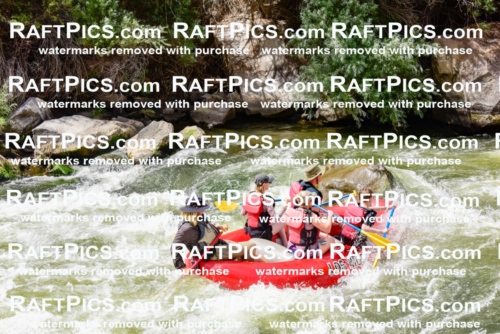 002278_July-11_Los-Rios_RAFT-PICS_Racecourse-PM_SW_Zack_LES8834