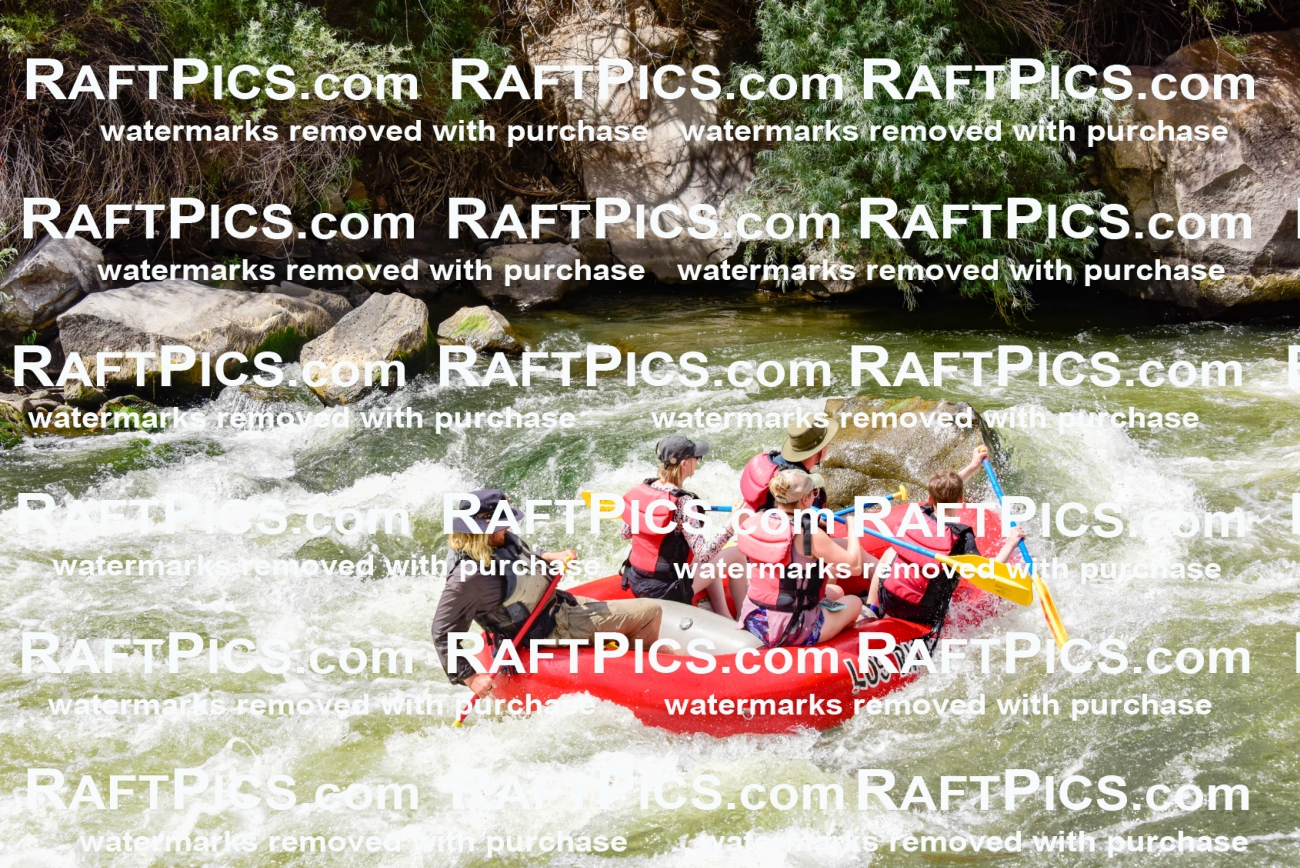 002279_July-11_Los-Rios_RAFT-PICS_Racecourse-PM_SW_Zack_LES8835