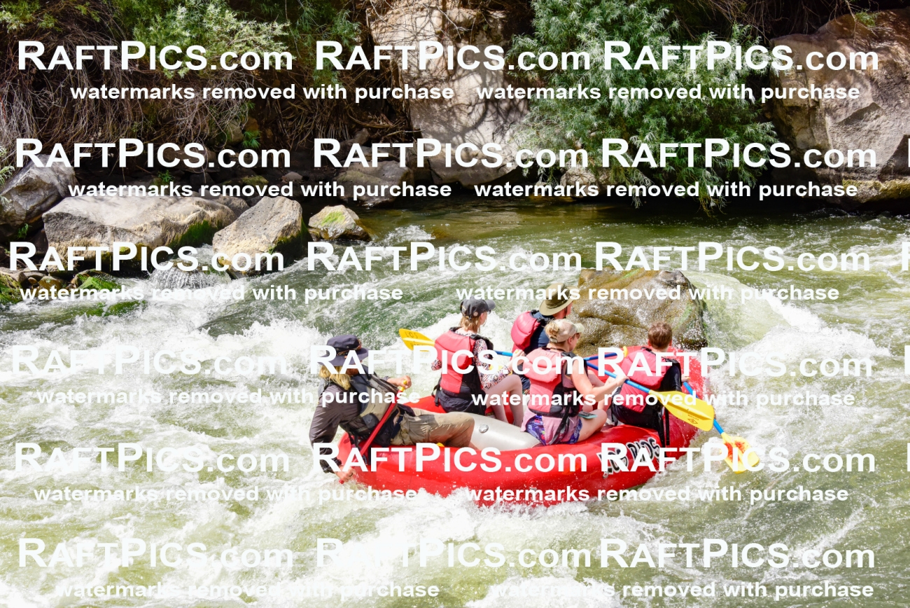 002280_July-11_Los-Rios_RAFT-PICS_Racecourse-PM_SW_Zack_LES8836